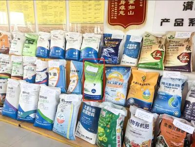 融合煥新促發(fā)展 文化賦能樹品牌——銷售分公司在糧食市場管理服務(wù)中的實(shí)踐與探索